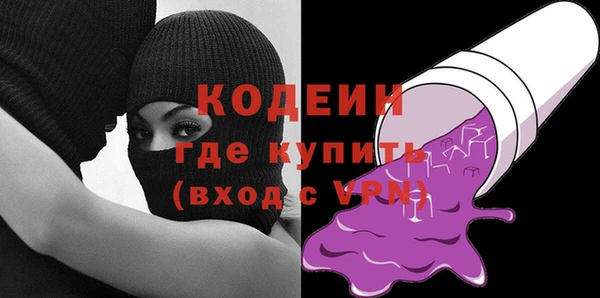 индика Протвино