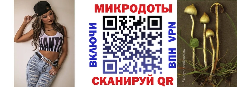 Галлюциногенные грибы Cubensis  Геленджик 